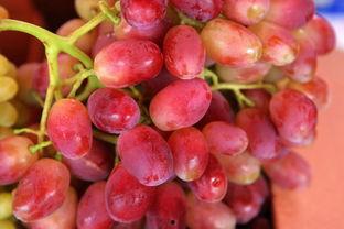 提子事件谁爆料的啊最新,揭秘爆料者身份与动机  第2张